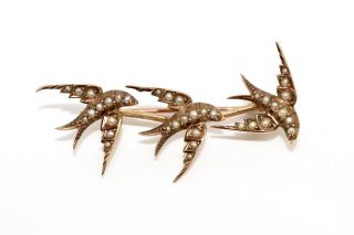 A Stunning Antique Victorian 15ct Yellow Gold Seed Pearl Swallow Brooch 12819