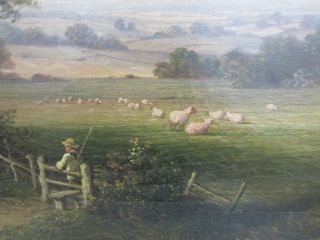 W.  Williams Signed Antique 19thC Oil Paining Pastoral w/ Sheep Gilt Framed 22x30 3