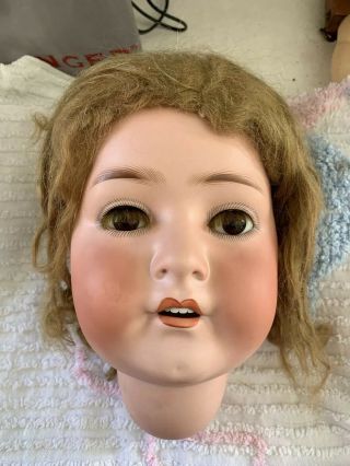 Heubach Kopplesdorf 407 - 15 Large 9 " Bisque Antique Doll Head