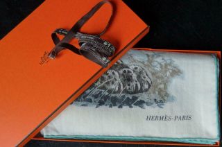 Hermes Paris Cashmere Shawl Scarf Panthera Pardus Carre Foulard Tuch Rare Cw