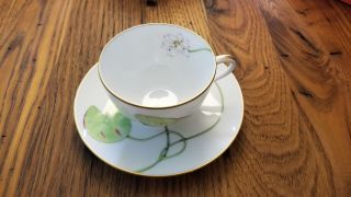 Hermes Nil (Nile) Porcelain China Teacup And Saucer - Rare & Perfect 3
