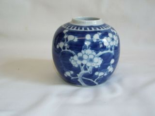 Antique Chinese Porcelain Handpainted Prunus Jar With Double Ring Mark