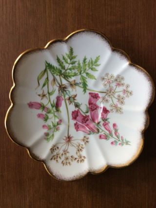 Vintage Foxglove Saucer Fine Bone China Made In England Numbered.