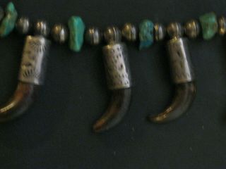 VINTAGE DEAD PAWN Navajo WOLF Claw & W/WHIRLING log Squash Turquoise Necklace 3