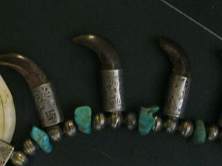 VINTAGE DEAD PAWN Navajo WOLF Claw & W/WHIRLING log Squash Turquoise Necklace 5
