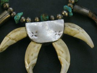 VINTAGE DEAD PAWN Navajo WOLF Claw & W/WHIRLING log Squash Turquoise Necklace 7