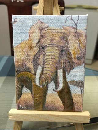 Aceo Hand Painting Oil Painting On Canvas - Elephant By Chi Lok