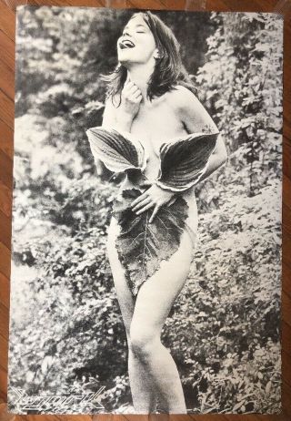 Bjork Vintage Poster Naked Leaves Large Music Promo 1980’s Black White