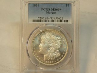 1921 P Morgan Dollar Pcgs Ms66,  Plus Rare In Grade Pop 118