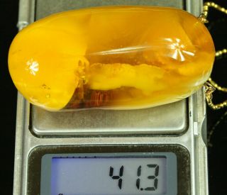 Natural Big Antique 41.  3gr Butterscotch Egg Yolk Baltic Amber Stone Pendant B777