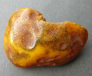 Natural Antique Butterscotch Egg Yolk Baltic Amber Stone 80g.
