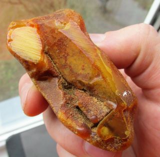 Natural Antique Butterscotch Egg Yolk Baltic Amber Stone 80g. 5