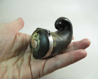 Antique Scottish Silver Mounted Horn Snuff Mull In 3