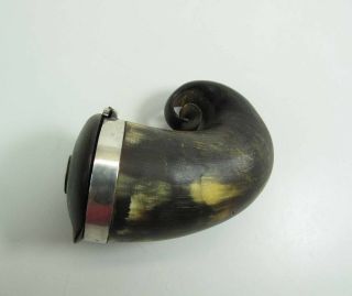 Antique Scottish Silver Mounted Horn Snuff Mull In 8