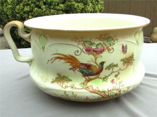 Antique English Ducal Crown Ware Victorian Porcelain Chamber Pot Bird/butterfly