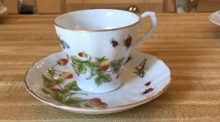 Vintage Tea Cup & Saucer Royal Crown Spring Time White With Strawberry Pattern