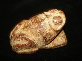 Very Rare One Stone Statue Frog Animal God? Demon? 5000 Years Old