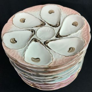 Oyster Plates Porcelain 6 Well Plates In 3 Shades Vintage/antique Set Of 9