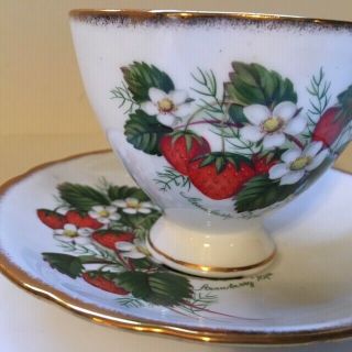 Strawberry Ripe Salisbury Fine Bone China Teacup and Saucer England 3582 Footed 2