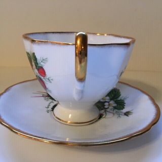 Strawberry Ripe Salisbury Fine Bone China Teacup and Saucer England 3582 Footed 3