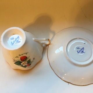 Strawberry Ripe Salisbury Fine Bone China Teacup and Saucer England 3582 Footed 4