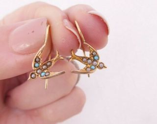 9ct Gold Turquoise Seed Pearl Earrings,  Victorian Novelty Bird 9k 375