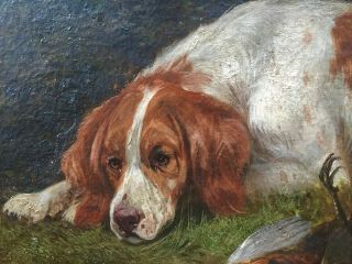 RARE FINE LARGE 19TH CENTURY ANTIQUE DOG / HUNTING OIL PAINTING 3