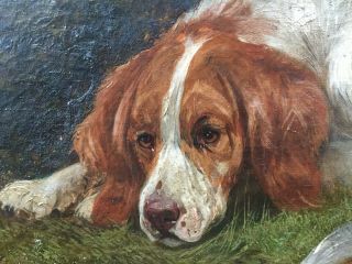 RARE FINE LARGE 19TH CENTURY ANTIQUE DOG / HUNTING OIL PAINTING 4