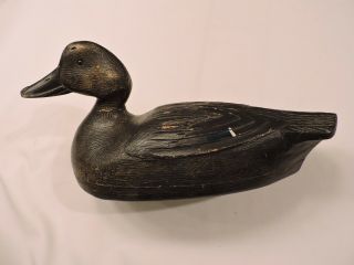 Rare Hollow Oversized Black Duck By Bill Cooper,  Verdun,  Quebec - Decoy
