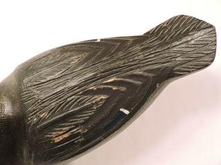 RARE HOLLOW OVERSIZED BLACK DUCK BY BILL COOPER,  VERDUN,  QUEBEC - DECOY 4