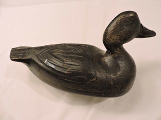 RARE HOLLOW OVERSIZED BLACK DUCK BY BILL COOPER,  VERDUN,  QUEBEC - DECOY 6