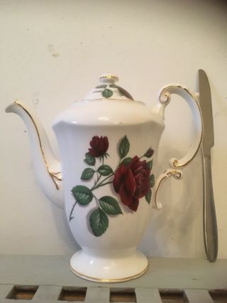 Paragon Coffee Pot 668 Large Red Rose Bone China