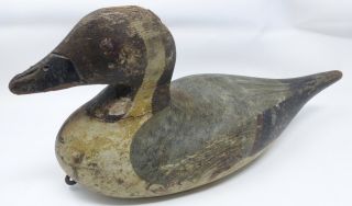 Antique Vintage Duck Decoy Mason ? With Pintail With Lead Strip On The Bottom