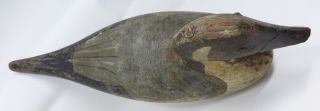ANTIQUE VINTAGE DUCK DECOY MASON ? WITH PINTAIL WITH LEAD STRIP ON THE BOTTOM 3