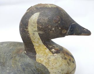 ANTIQUE VINTAGE DUCK DECOY MASON ? WITH PINTAIL WITH LEAD STRIP ON THE BOTTOM 6