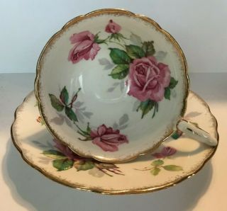 Vintage Royal Stafford White With Pink Roses " Berkeley Rose " Tea Cup & Saucer