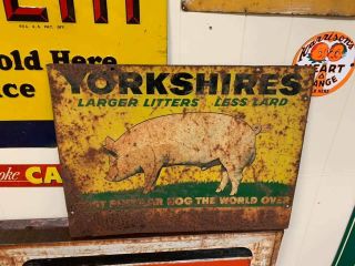 Vintage Yorkshires Hogs Pig Metal Sign Double Sided 24 " X 18 " Farm Gas Oil Cola