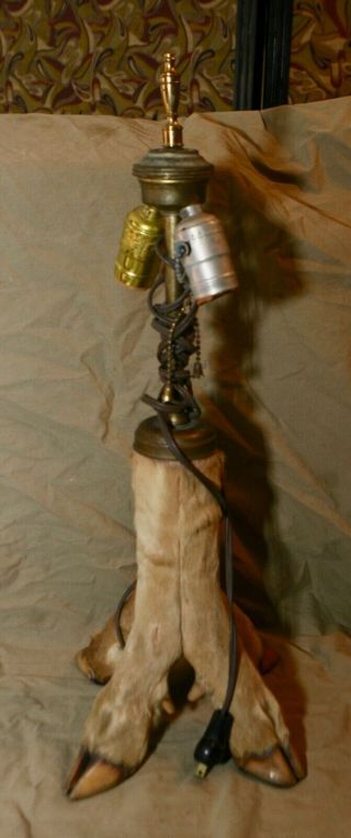 Vintage Cabin Chic 20 " Deer Foot Lamp 2 Bulbs Outdated Wiring