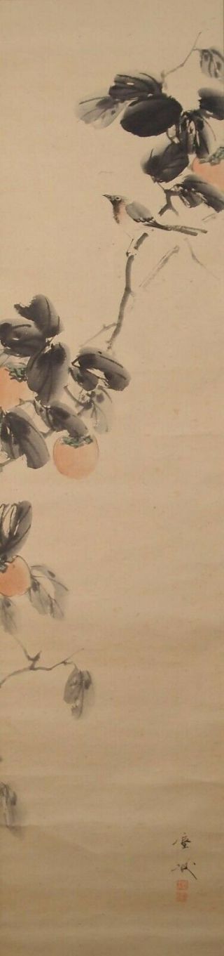 1653 Japanese Hanging Scroll: Bird On Persimmon Tree