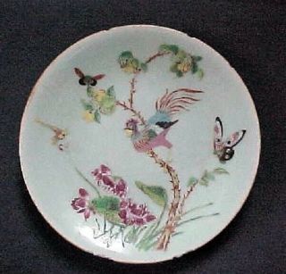 19th Century Antique Chinese Enamelled Famille Rose Celadon Plate 7 3/8 "