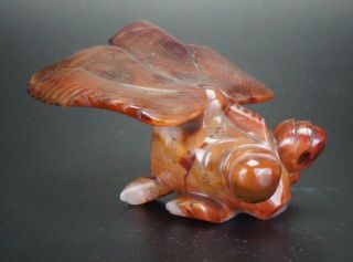 Large Antique Chinese Hardstone Agate Carving Figurine Gold Fish 20th C
