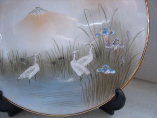Antique Japanese Hand Painted Porcelain China 8.  5 " Plate Cranes Irises Signed