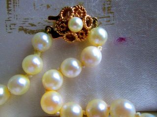 Quality Japanese Akoya Oyster Pearl Necklace 9ct Gold Clasp 22ins Stamped Cased