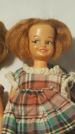 Vintage 1964 DO - 9 Ideal Toy Doll Girl Dodi Pepper ' s Friend & Tammy Family 3