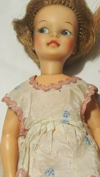 Vintage 1964 DO - 9 Ideal Toy Doll Girl Dodi Pepper ' s Friend & Tammy Family 4