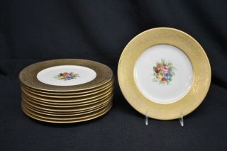 12 Vintage Atlas China Wide Gold Encrusted Rim Floral Center 10 " Dinner Plates