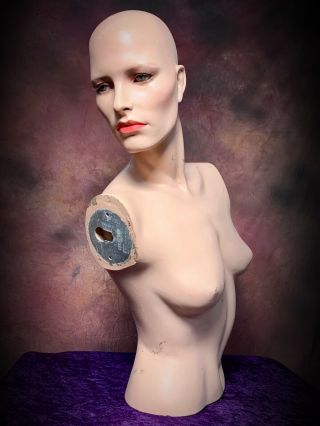 GRENEKER Mannequin Woman Female Torso Bust Creepy Oddity Display Vintage 7