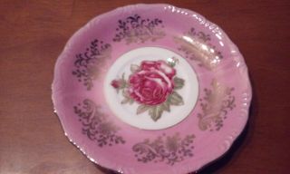 Royal Halsey Cup & Saucer (Pink with Red Rose) 3