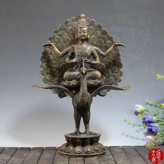 Chinese Antique Tibetan Buddhist Carving Ornament Peacock King Buddha