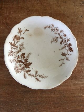 Antique Primitive White Ironstone Brown Transferware Butter Pat Farmhouse